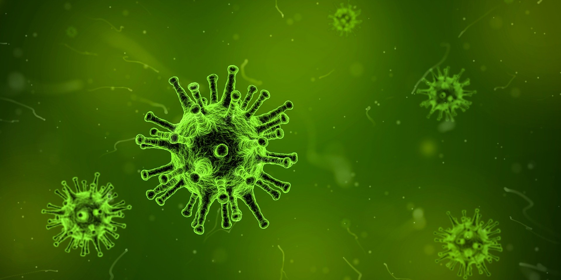 Coronavirus impact