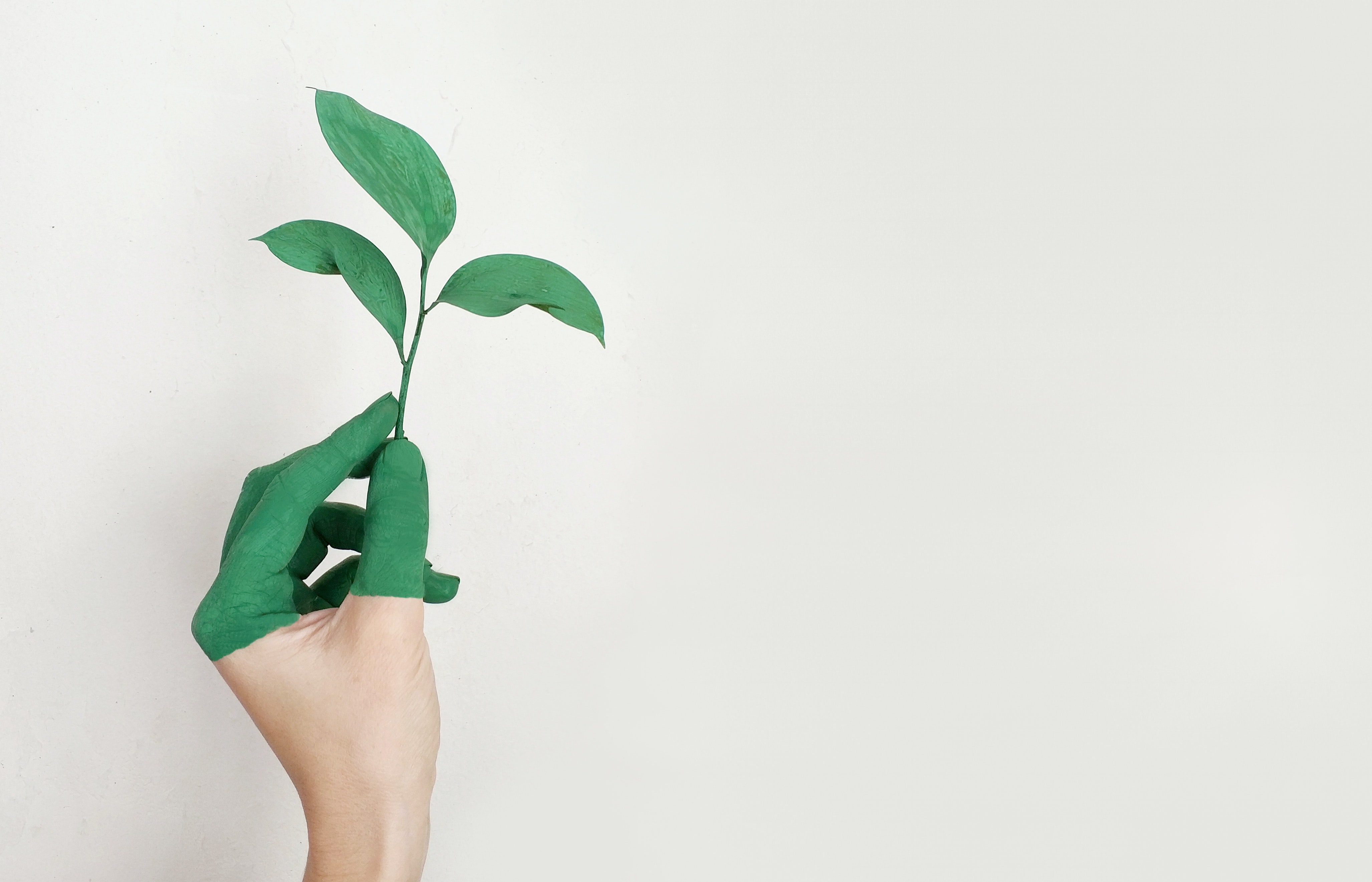 Eco friendly and sustainable packaging solutions