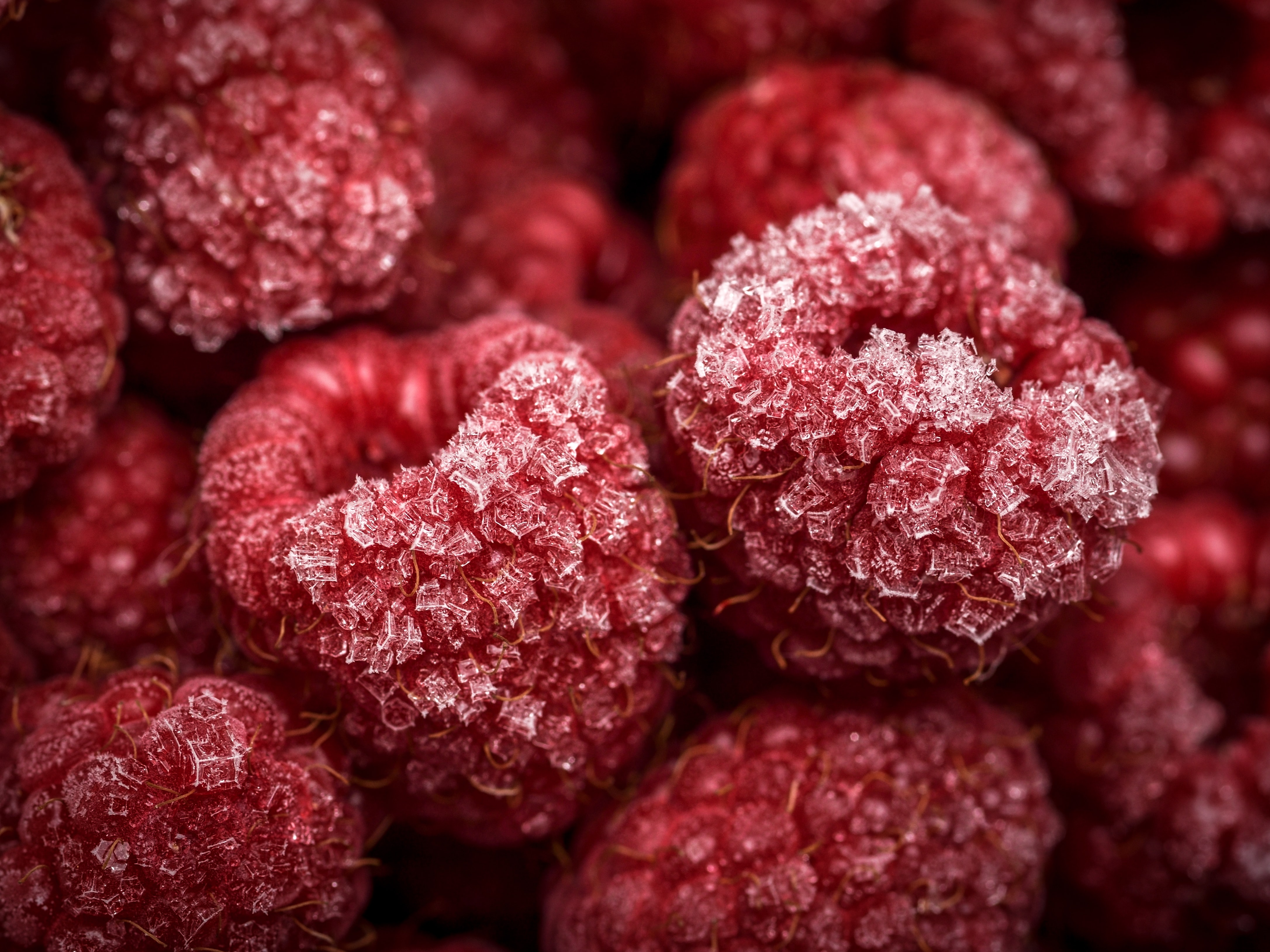 Top Tips for Delivering Food