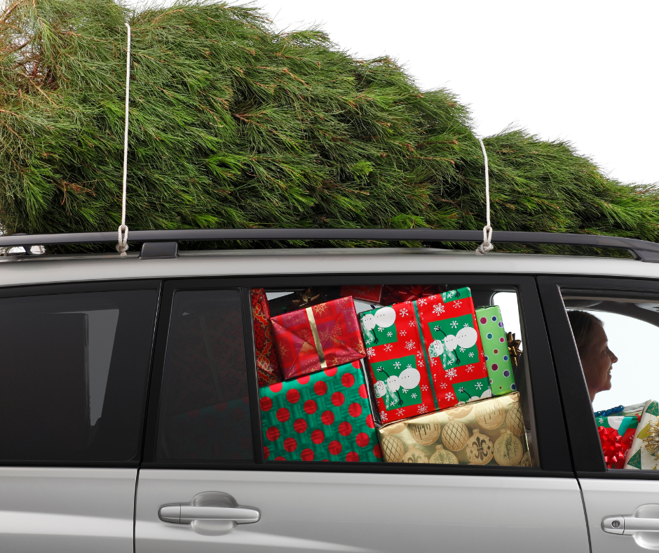 Gofers Christmas image